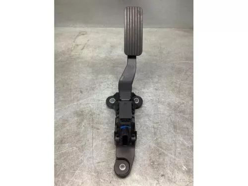 Gaspedaalpositie Sensor-8077815