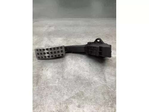 Gaspedaalpositie Sensor-8055168