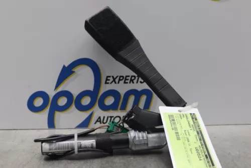 Gordelspanner rechts-7877885