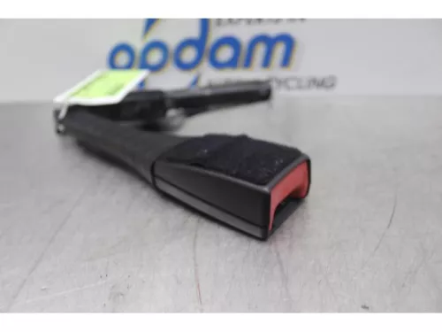 Gordelspanner rechts-7878197