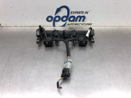 Injector (benzine injectie)-8173682