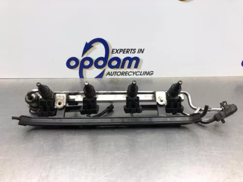 Injector (benzine injectie)-8211364