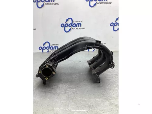 Inlaatspruitstuk-7977285