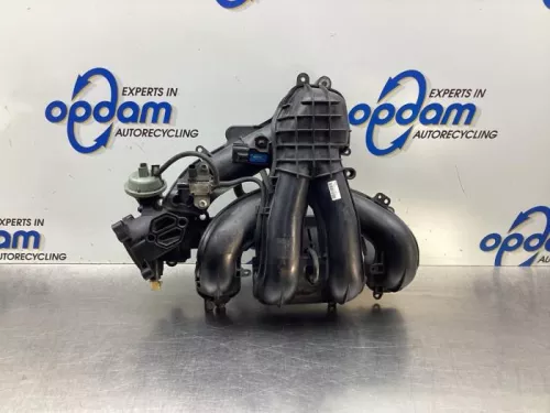 Inlaatspruitstuk-7916990