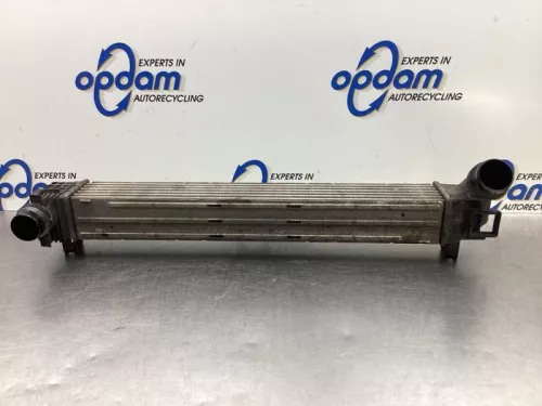 Intercooler-8081229